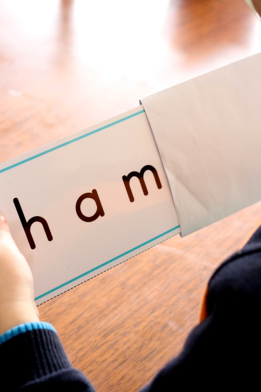 Preschool Letter H In My World