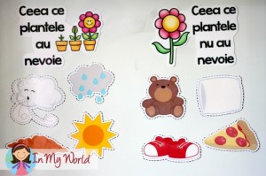 What Plants Need and Don't Need sorting activity