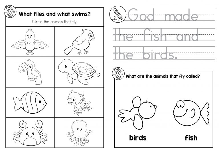 Sunday School Creation: Day 5 Birds and Fish - In My World