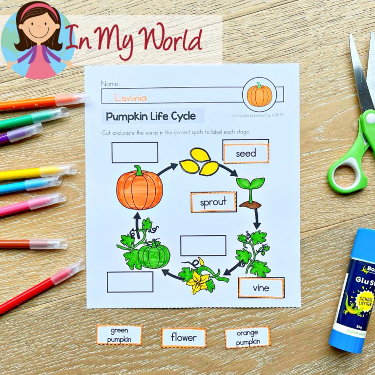 Pumpkin Life Cycle - In My World