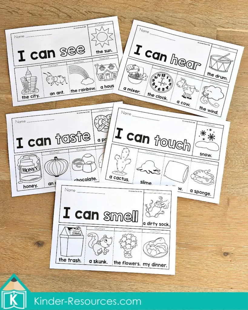 5 Senses Flip Books & Worksheets