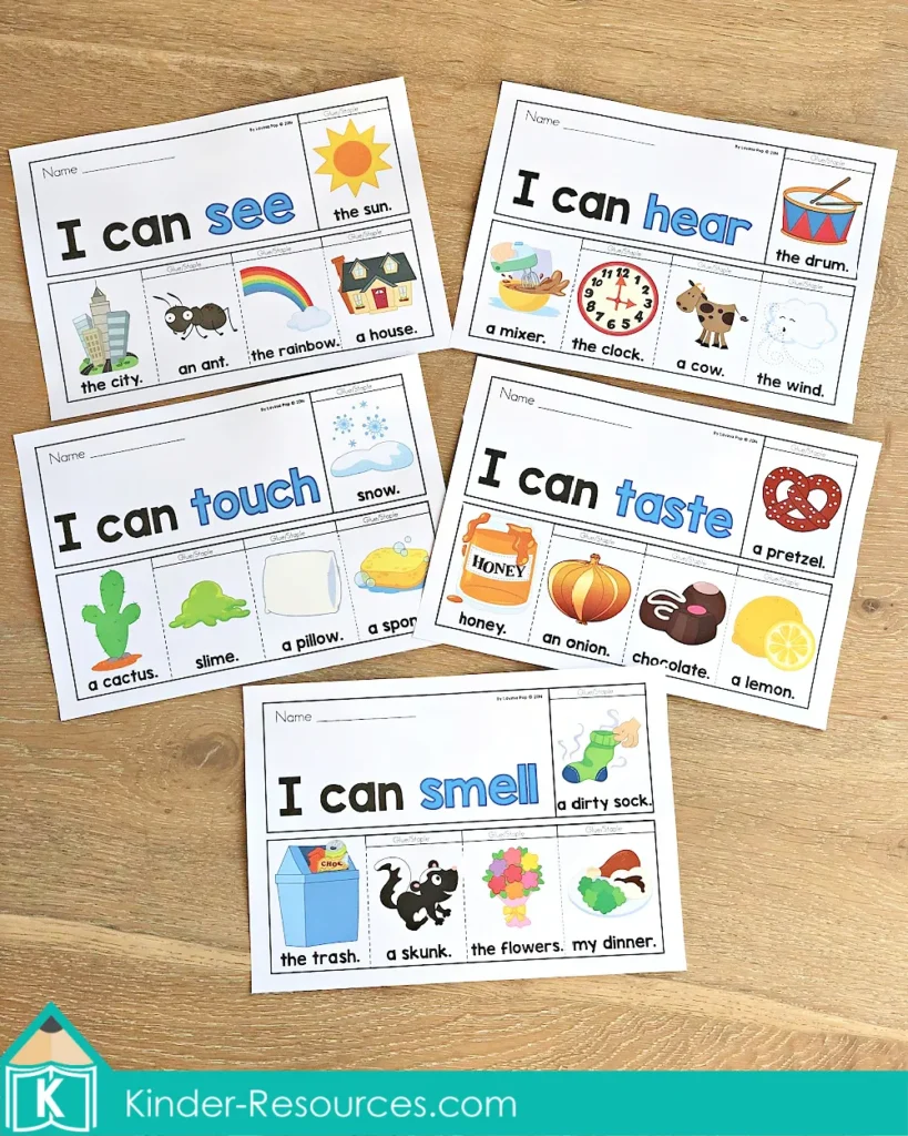 5 Senses Flip Books & Worksheets