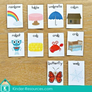 FREE Printable vocabulary cards with words containing the letter B for sorting and reading activities from the Phonics Letter of the Week B packet.