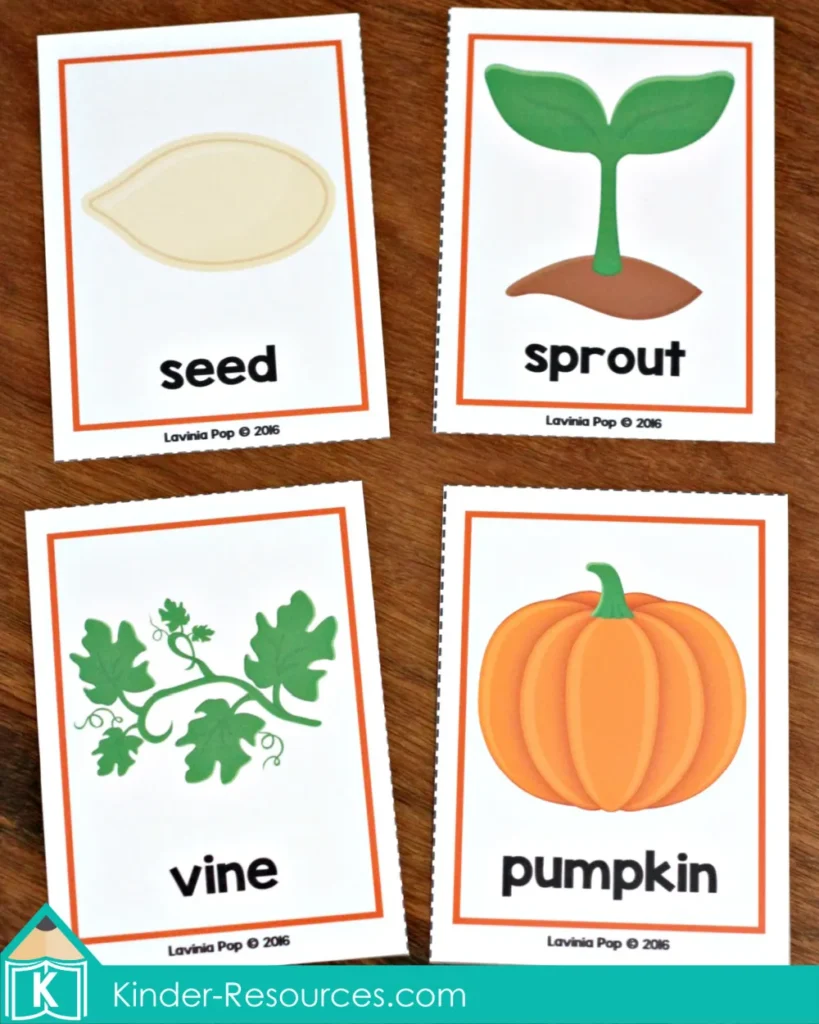 Fall preschool pumpkin life cycle cards showing seed, sprout, vine, and pumpkin stages for autumn science and sequencing activities.