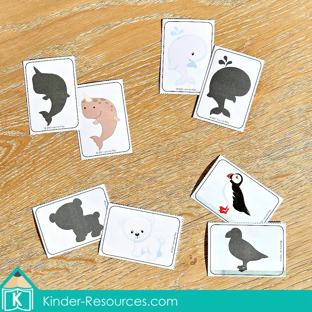 Arctic Animals Shadow Matching Worksheet for Kids