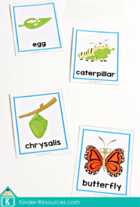 Spring Preschool Centers - In My World