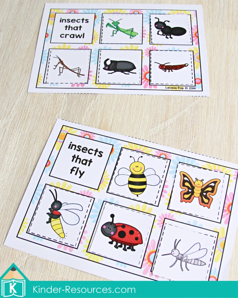 Spring Math Centers for Kindergarten. Categorizing Insects