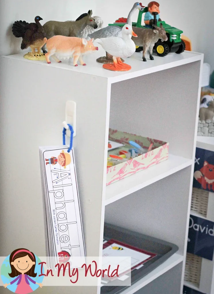 Farm Preschool and Kindergarten Center Activities. Tray