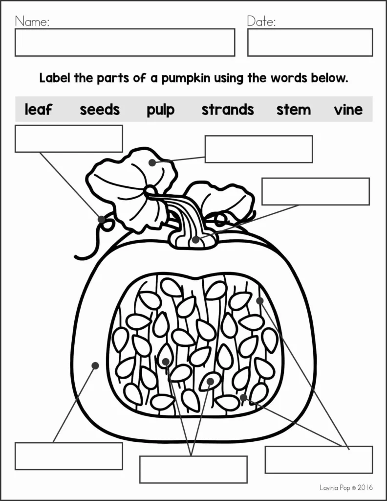 October Writing Journal Prompts | Label the parts of a pumpkin