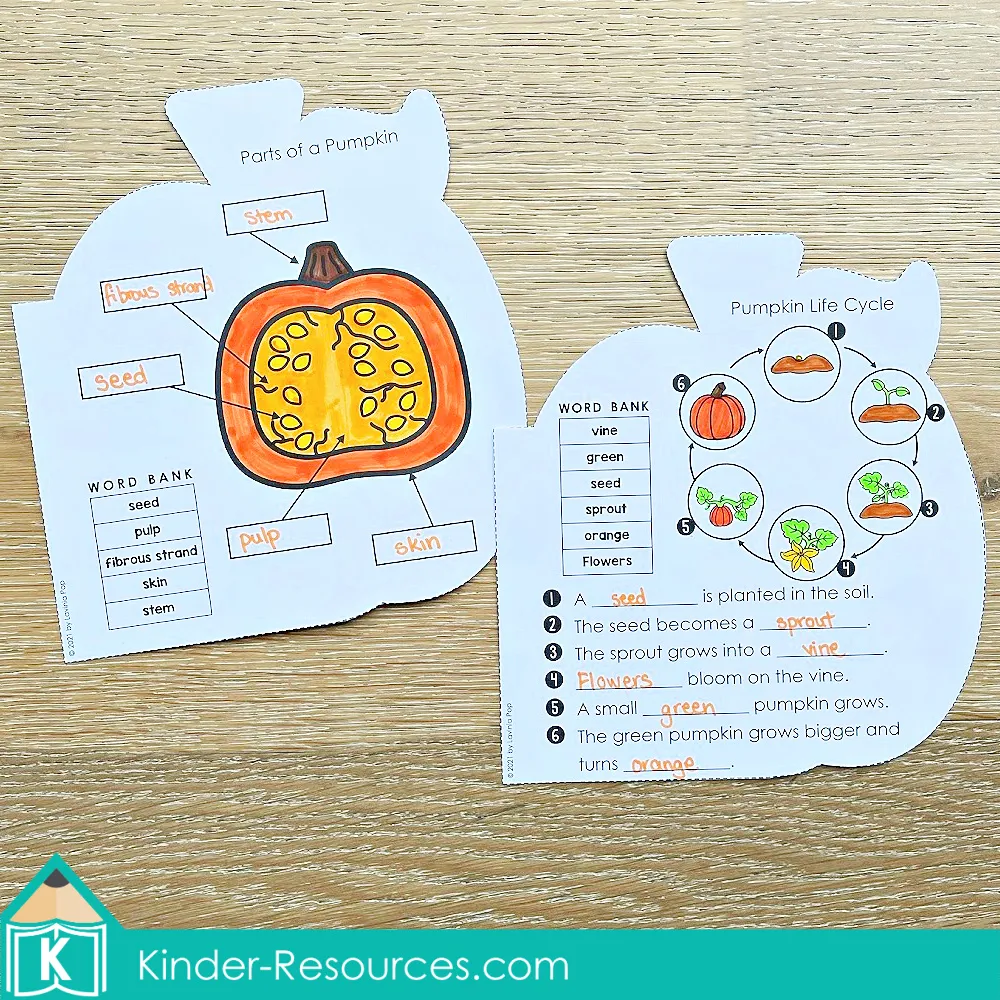 Pumpkin shaped writing pages for labeling the parts of a pumpkin and completing the pumpkin life cycle with a word bank and diagrams.