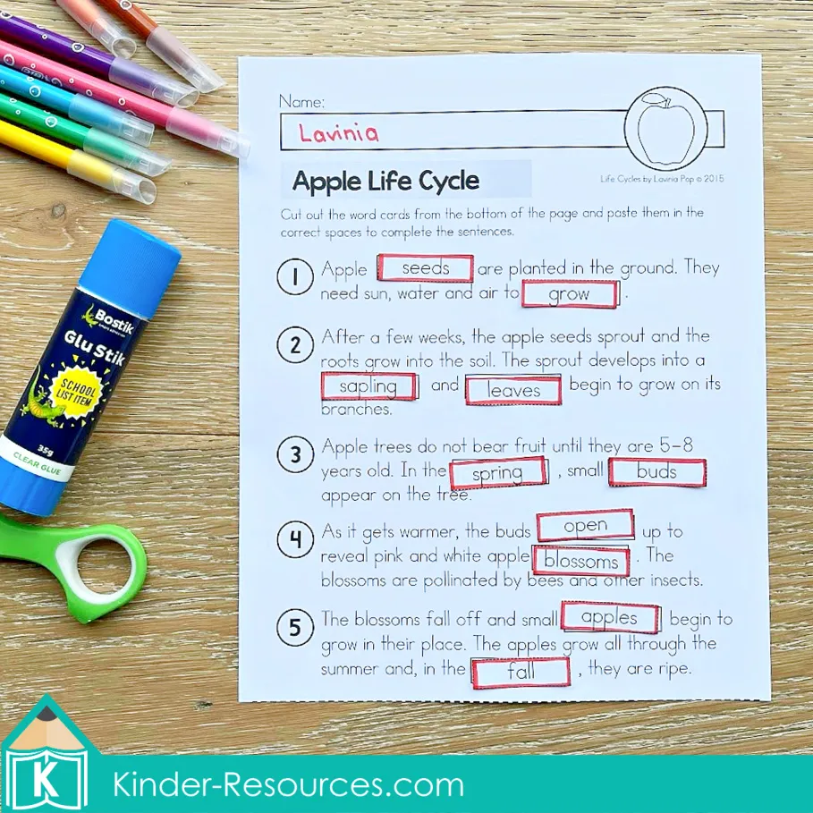 Apple life cycle worksheet where students cut and paste missing words like seeds, sapling, leaves, buds, and blossoms to complete sentences