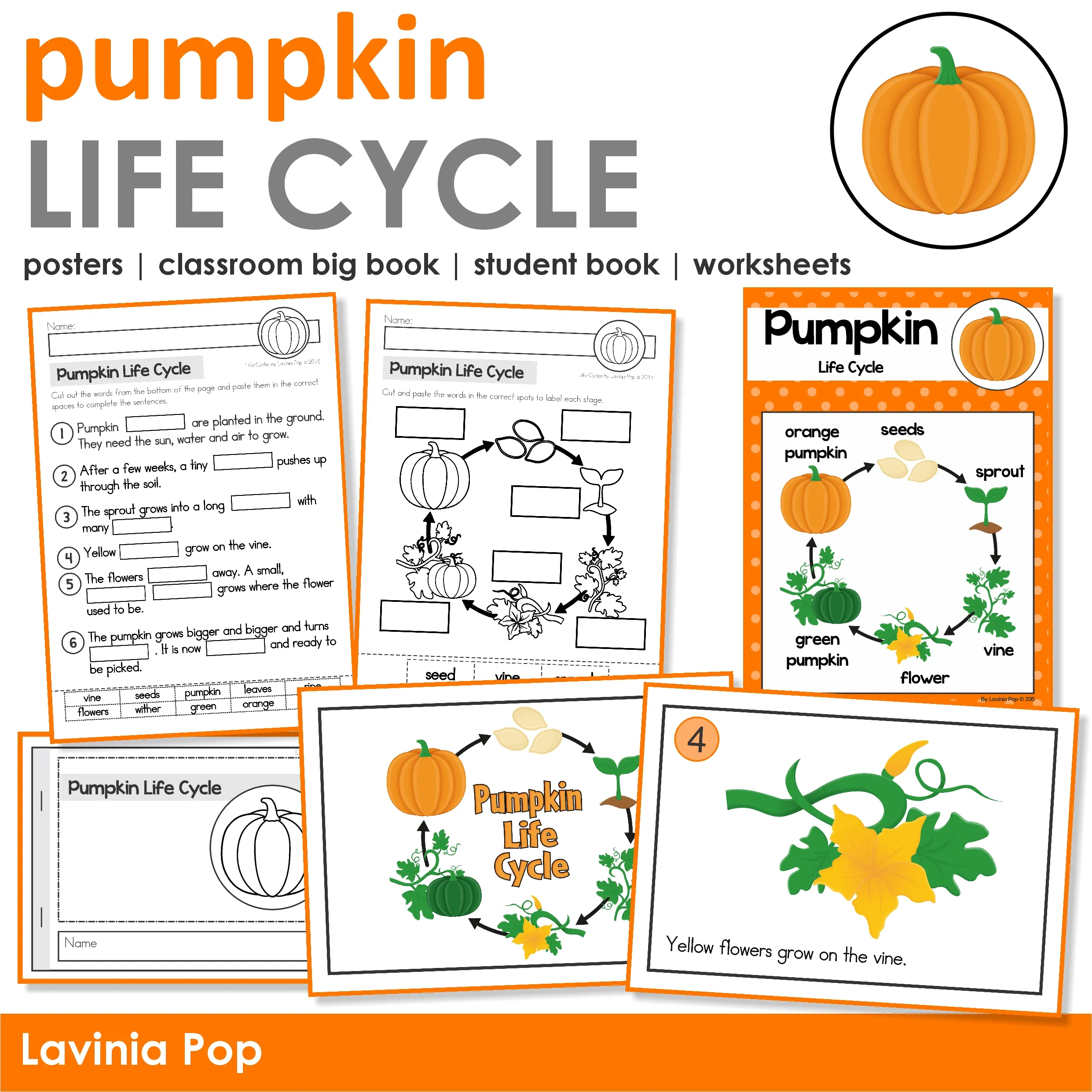 Pumpkin life cycle science activity pack for kindergarten and 1st grade including posters, big book, and printable sequencing worksheets