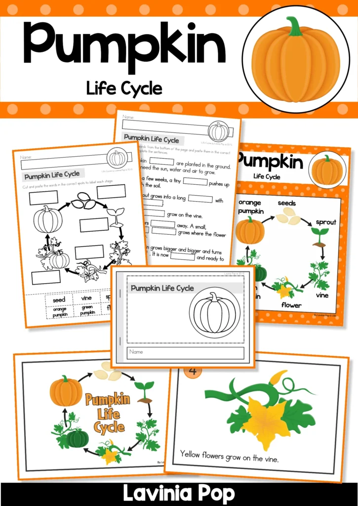 Printable pumpkin life cycle worksheets, posters, and student books for kindergarten and first grade showing stages from seed to pumpkin