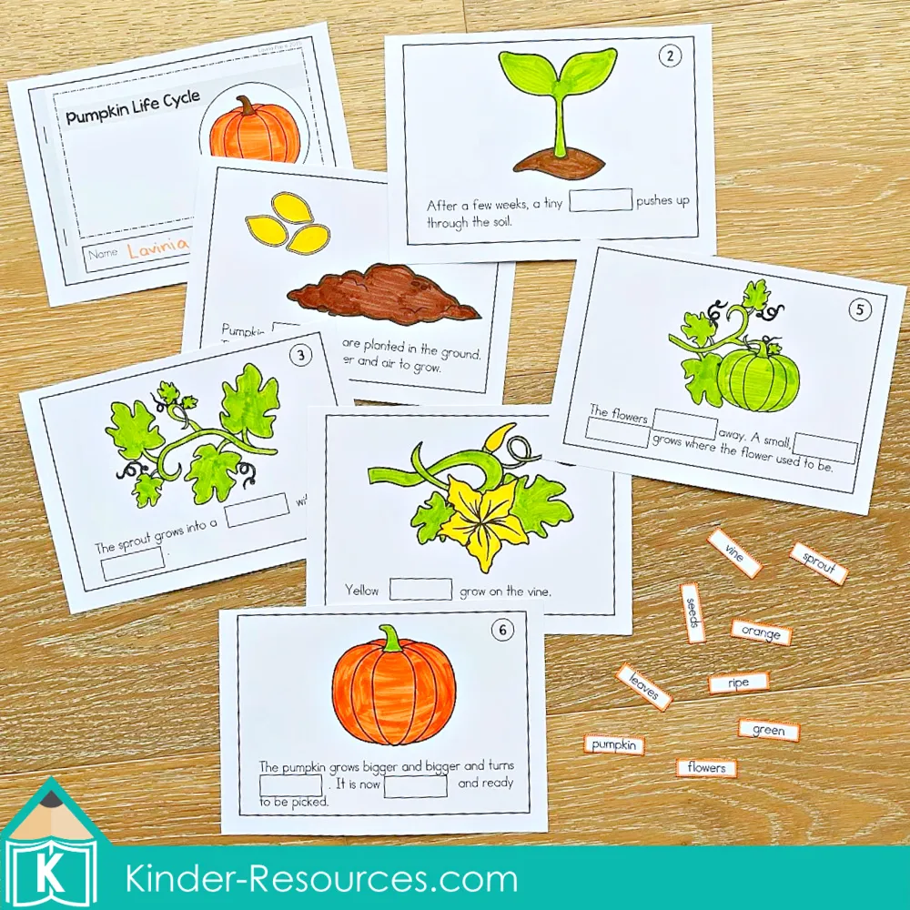 Pumpkin life cycle mini book activity for preschool and kindergarten where students color, cut, and paste pictures to show each stage of the cycle