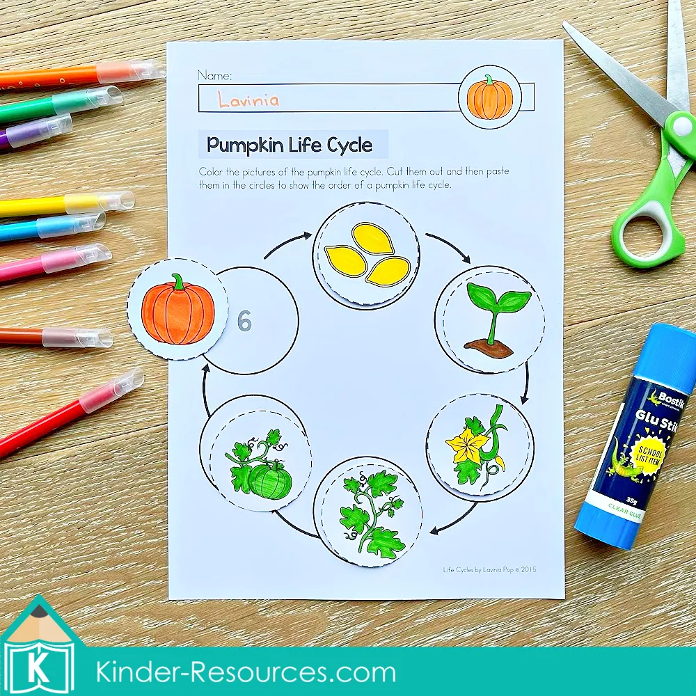 Hands-on pumpkin life cycle activity for preschool and kindergarten where children color, cut, and arrange pictures in order from seed to pumpkin
