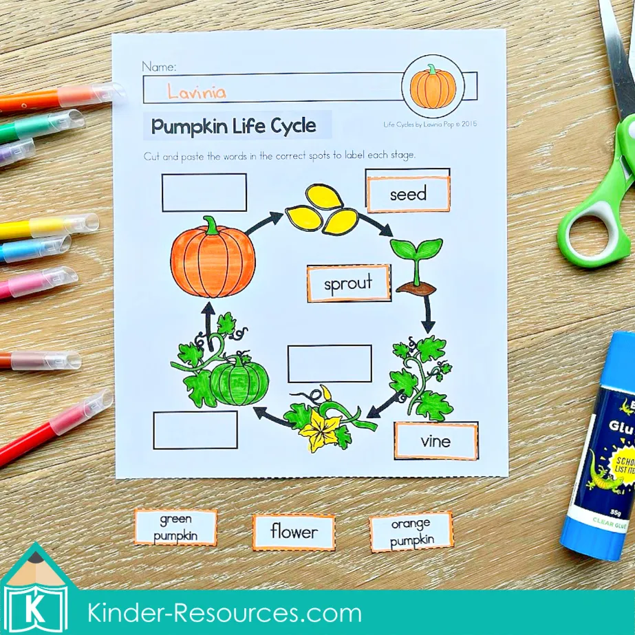 Pumpkin life cycle worksheet with cut and paste sentences for students to arrange in correct order, teaching sequencing and reading comprehension