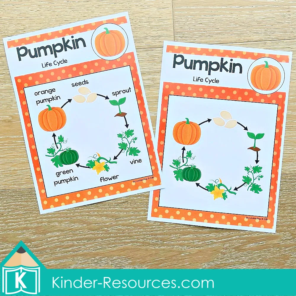 Two colorful pumpkin life cycle posters with and without labels showing seed, sprout, vine, flower, green pumpkin, and orange pumpkin stages
