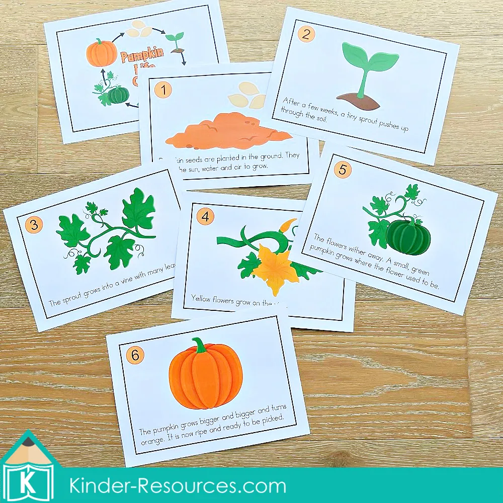 Printable pumpkin life cycle classroom big book showing each stage from seed to orange pumpkin, perfect for kindergarten and first grade science lessons