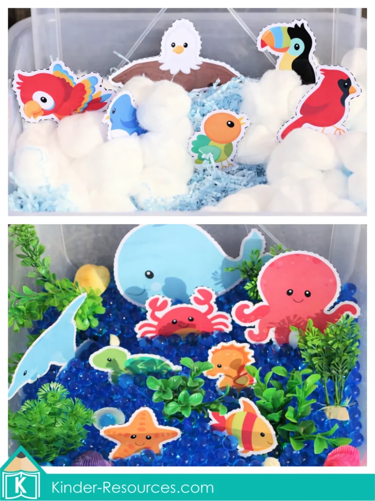 Preschool Bible Lesson God Made the Birds and Fish – Sky and Sea Sensory Sorting Activity