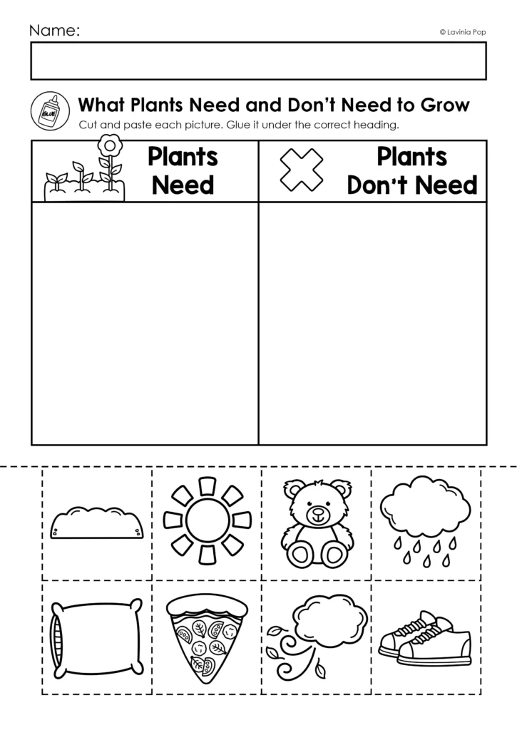 Preschool Bible Lesson God Made the Dry Land and Plants cut and paste activity sorting what plants need and don’t need