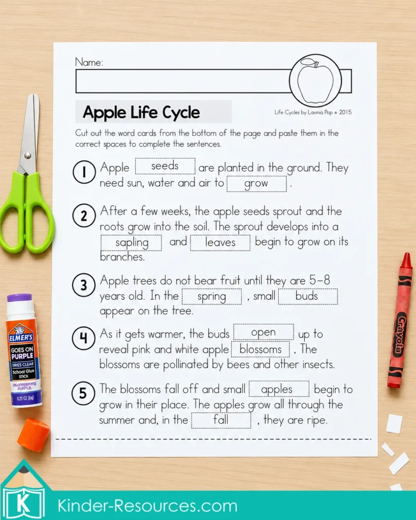 Completed apple life cycle missing words worksheet with answer cards pasted into five sentences beside crayons, glue and scissors.