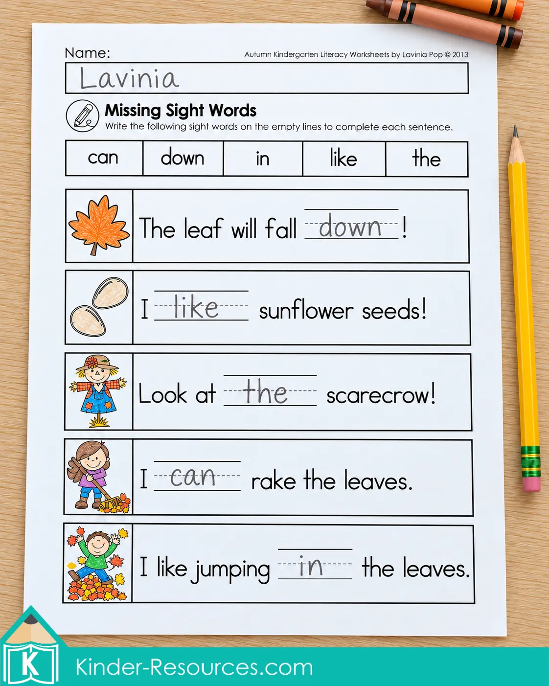 Completed fall sentences using the sight words can, down, in, like, and the from a word bank.