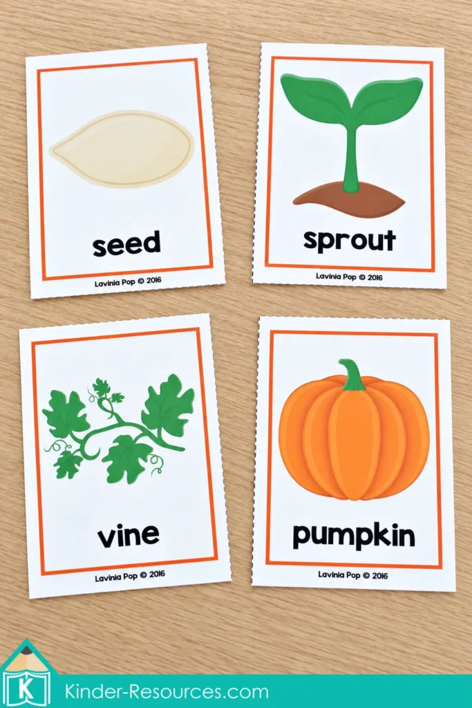 Four pumpkin sequencing cards for fall preschool centers showing a seed, sprout, vine, and pumpkin.