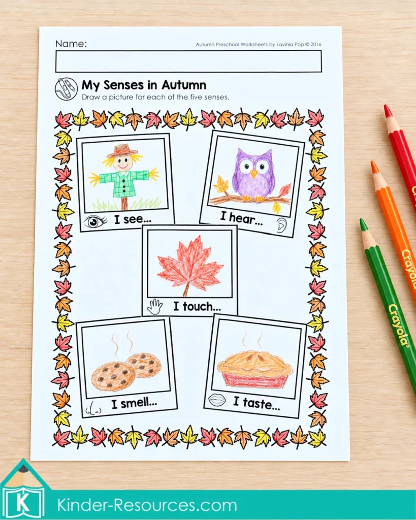 Autumn five senses worksheet with drawings of a scarecrow, owl, leaf, cookies, and pie in frames labeled see, hear, touch, smell, and taste.