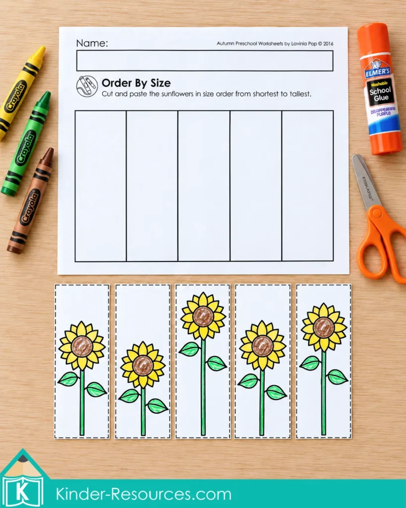 Preschool ordering by height worksheet with five empty columns and separate sunflower cutouts to arrange from shortest to tallest.
