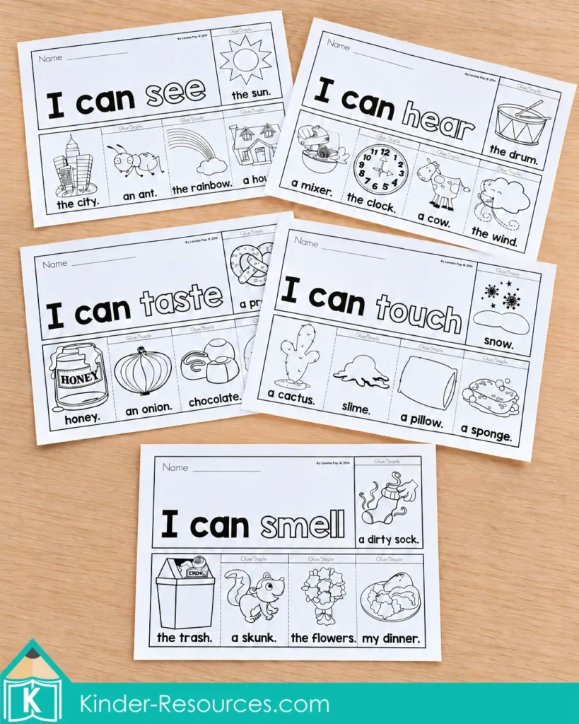 Black and white versions of the five senses flip books for students to color and assemble